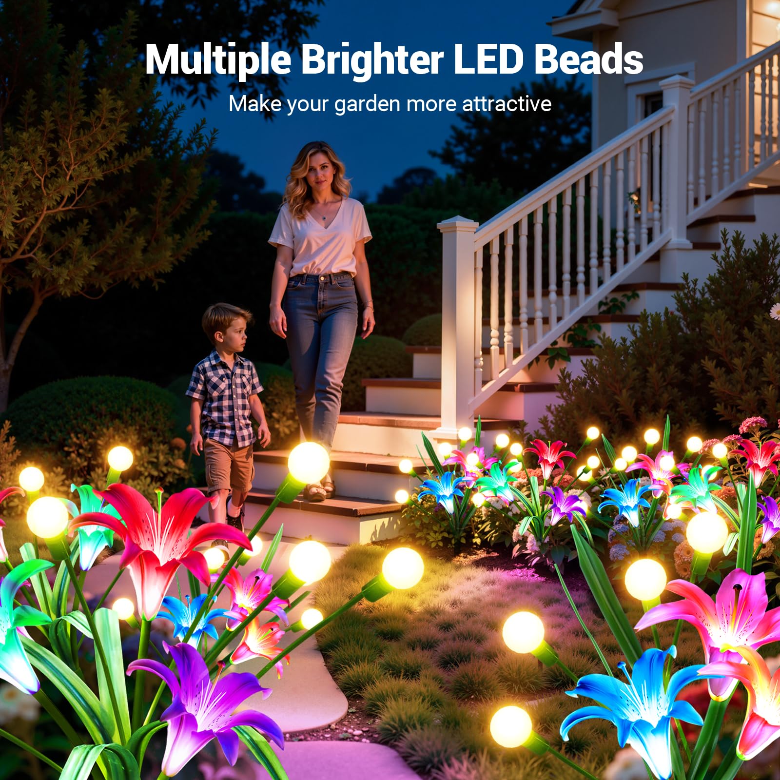 2/4 حزمة من أضواء الطاقة الشمس - مراجعة Flower Photography Led Lighting Pack وسعره
