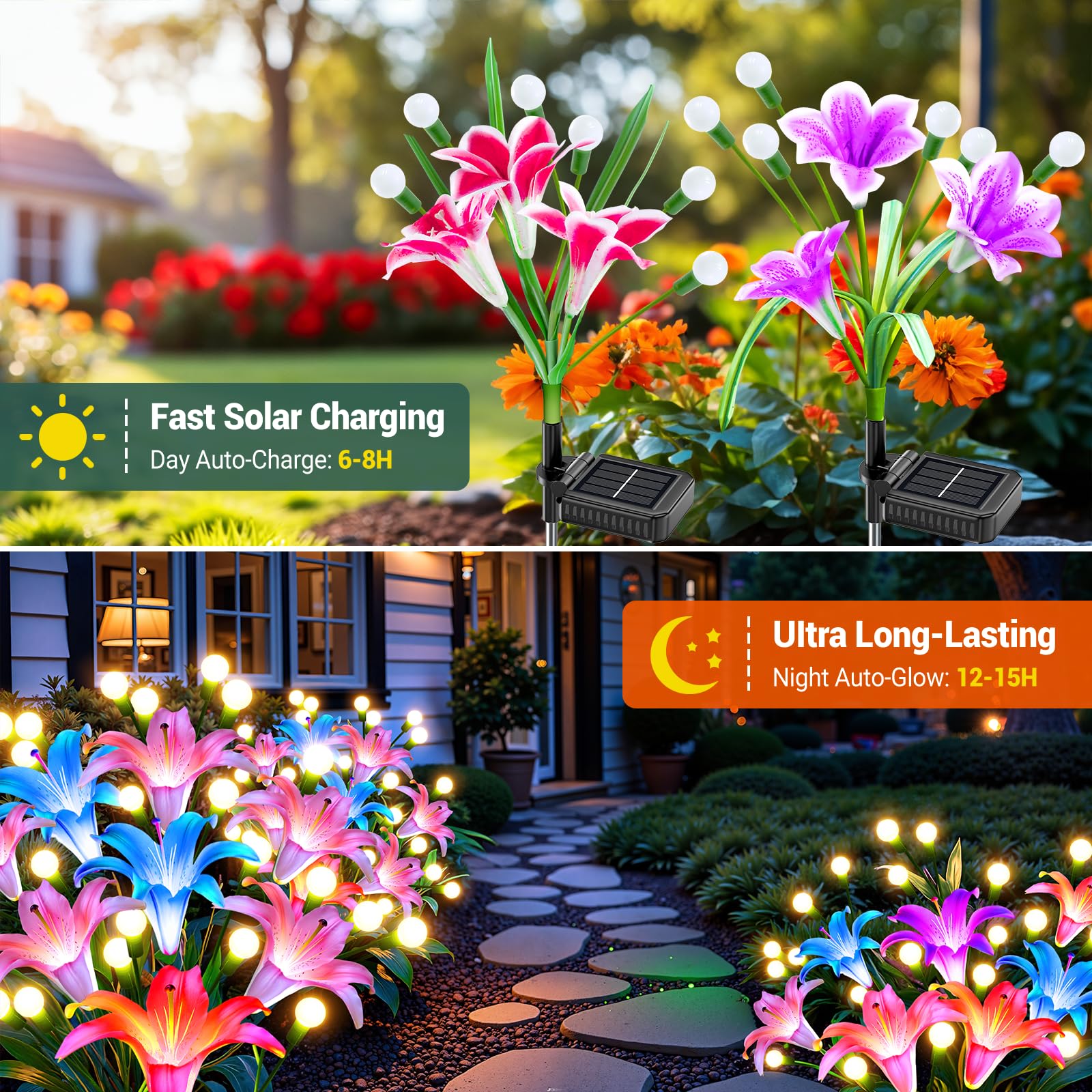 2/4 حزمة من أضواء الطاقة الشمس - مراجعة Flower Photography Led Lighting Pack وسعره