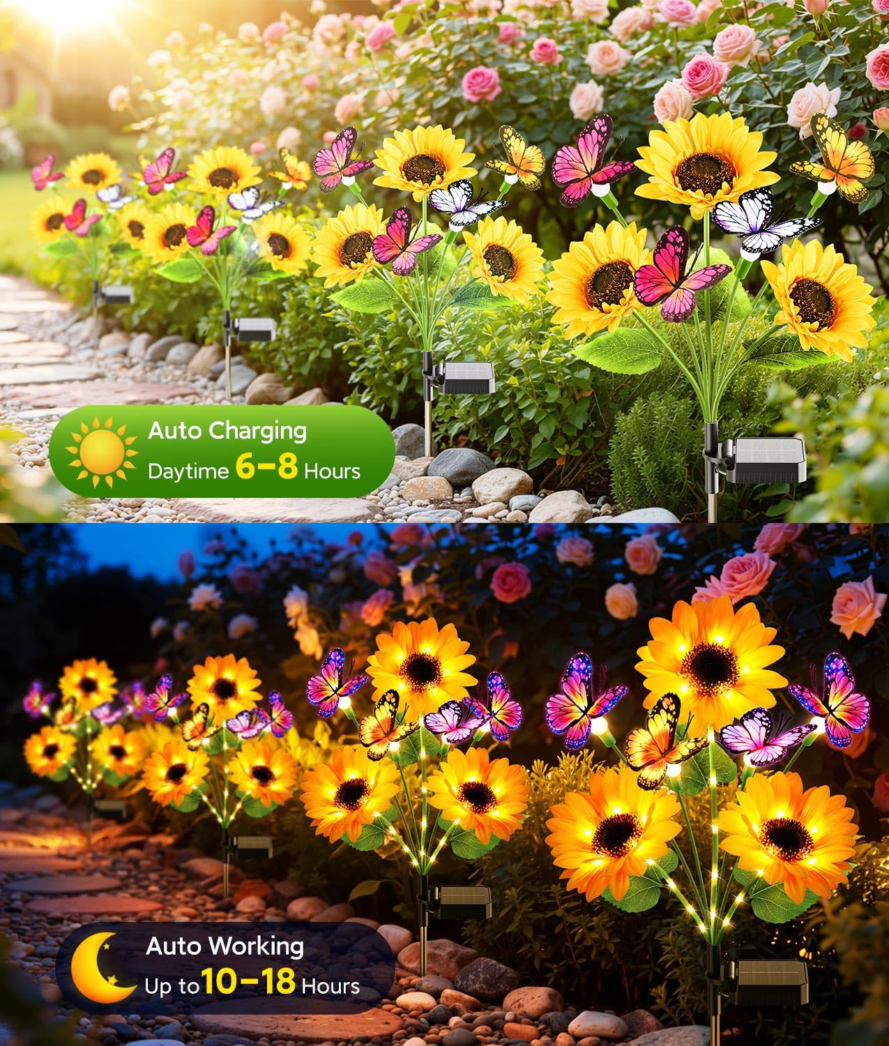 أضواء حديقة شمسية للديكور الخا - مراجعة Flower Photography Led Lighting Pack وسعره